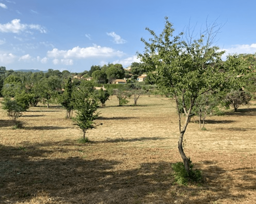 PROJET ENCLOS DE RAIMU