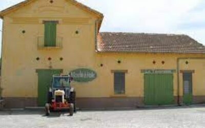 Coopérative Oléicole Aupsoise